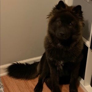 Meet your Posher, Sonia